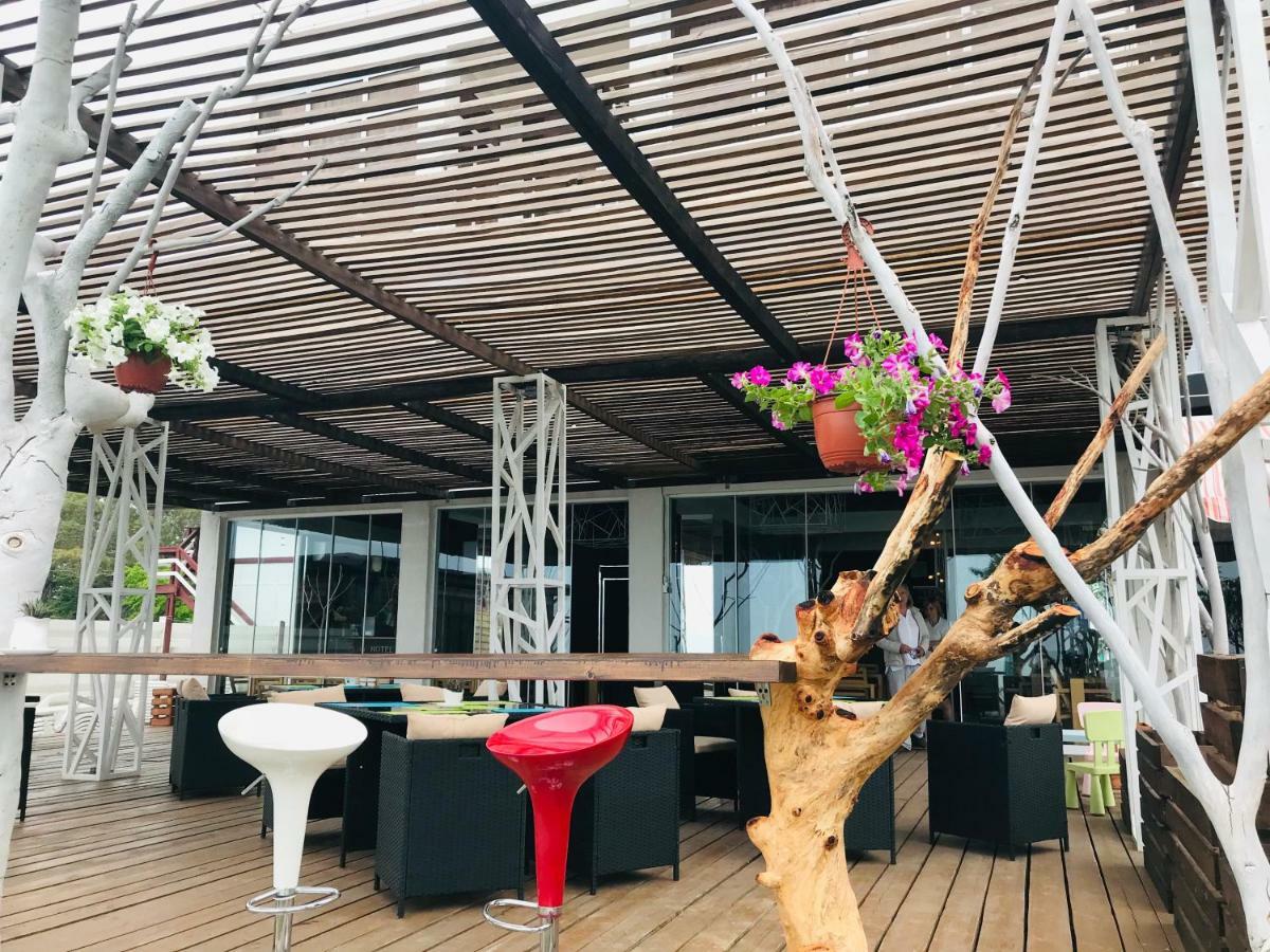 تساندريبش Hotel Bereg Evkaliptov المظهر الخارجي الصورة